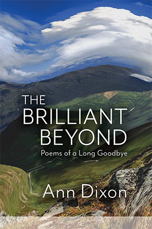 The Brilliant Beyond: Poems of a Long Goodbye